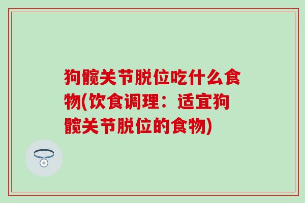 狗髋关节脱位吃什么食物(饮食调理：适宜狗髋关节脱位的食物)