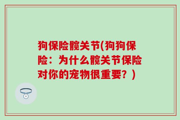 狗保险髋关节(狗狗保险：为什么髋关节保险对你的宠物很重要？)