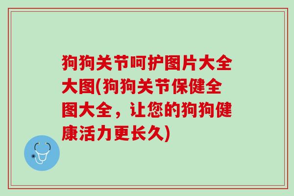 狗狗关节呵护图片大全大图(狗狗关节保健全图大全，让您的狗狗健康活力更长久)