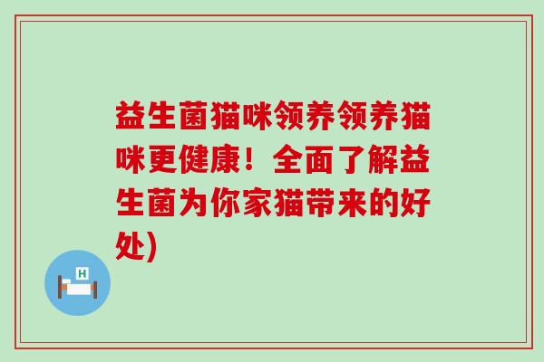 益生菌猫咪领养领养猫咪更健康！全面了解益生菌为你家猫带来的好处)