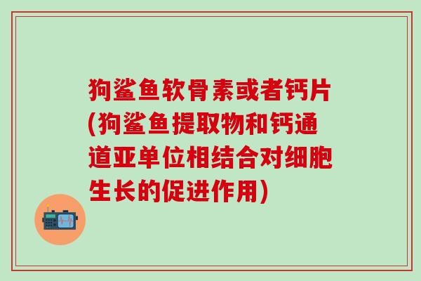 狗鲨鱼软骨素或者钙片(狗鲨鱼提取物和钙通道亚单位相结合对细胞生长的促进作用)
