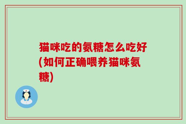 猫咪吃的氨糖怎么吃好(如何正确喂养猫咪氨糖)