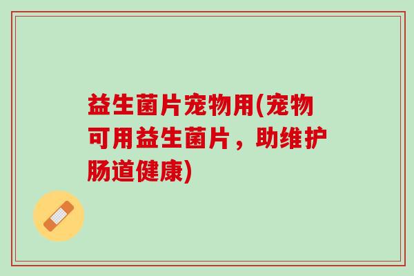 益生菌片宠物用(宠物可用益生菌片,助维护肠道健康) 益生菌片宠物用(宠物可用益生菌片,助维护肠道健康)