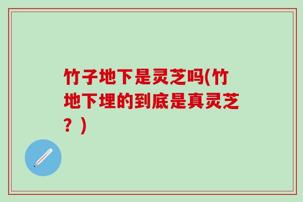 竹子地下是灵芝吗(竹地下埋的到底是真灵芝？)