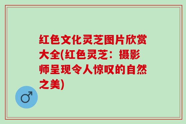 红色文化灵芝图片欣赏大全(红色灵芝：摄影师呈现令人惊叹的自然之美)