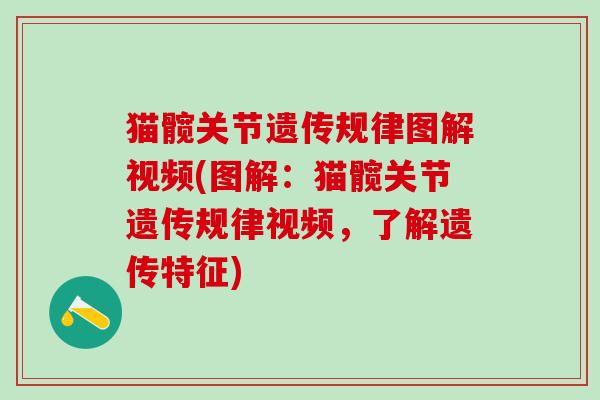 猫髋关节遗传规律图解视频(图解：猫髋关节遗传规律视频，了解遗传特征)