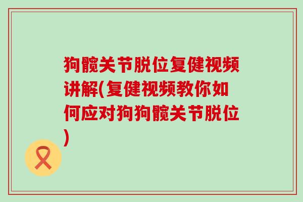 狗髋关节脱位复健视频讲解(复健视频教你如何应对狗狗髋关节脱位)