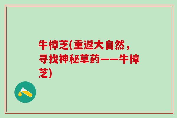 牛樟芝(重返大自然，寻找神秘草药——牛樟芝)