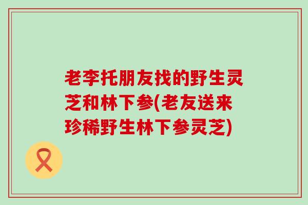老李托朋友找的野生灵芝和林下参(老友送来珍稀野生林下参灵芝)