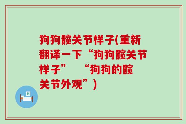 狗狗髋关节样子(重新翻译一下“狗狗髋关节样子”  “狗狗的髋关节外观”)
