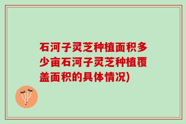 石河子灵芝种植面积多少亩石河子灵芝种植覆盖面积的具体情况)