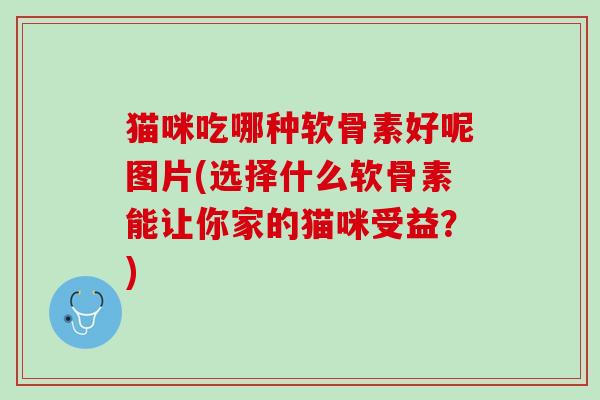 猫咪吃哪种软骨素好呢图片(选择什么软骨素能让你家的猫咪受益？)