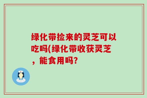 绿化带捡来的灵芝可以吃吗(绿化带收获灵芝，能食用吗？