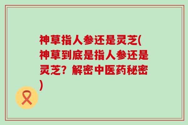 神草指人参还是灵芝(神草到底是指人参还是灵芝？解密中医药秘密)
