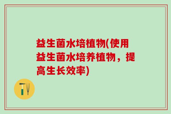 益生菌水培植物(使用益生菌水培养植物，提高生长效率)