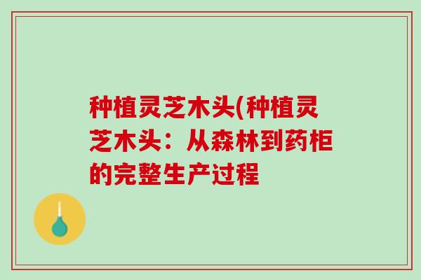 种植灵芝木头(种植灵芝木头：从森林到药柜的完整生产过程