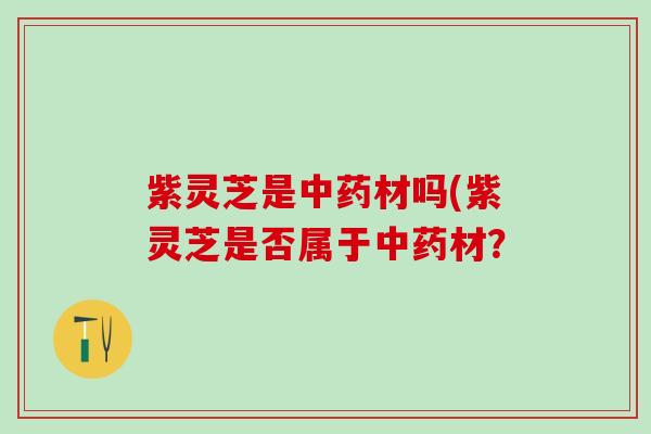 紫灵芝是中药材吗(紫灵芝是否属于中药材？