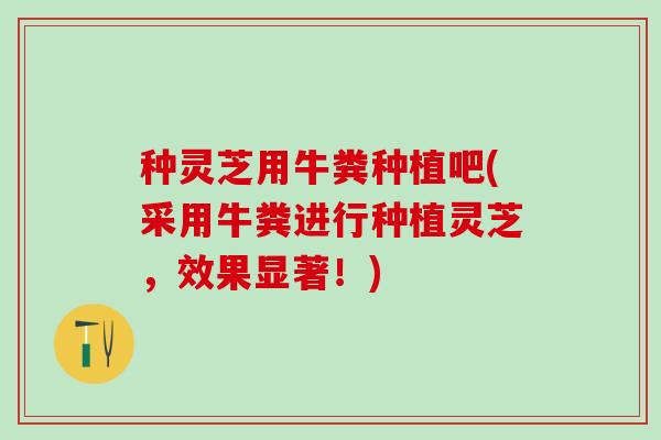 种灵芝用牛粪种植吧(采用牛粪进行种植灵芝，效果显著！)