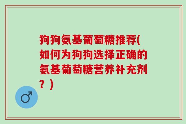 狗狗氨基葡萄糖推荐(如何为狗狗选择正确的氨基葡萄糖营养补充剂？)
