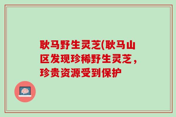 耿马野生灵芝(耿马山区发现珍稀野生灵芝，珍贵资源受到保护