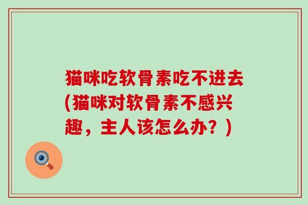 猫咪吃软骨素吃不进去(猫咪对软骨素不感兴趣，主人该怎么办？)