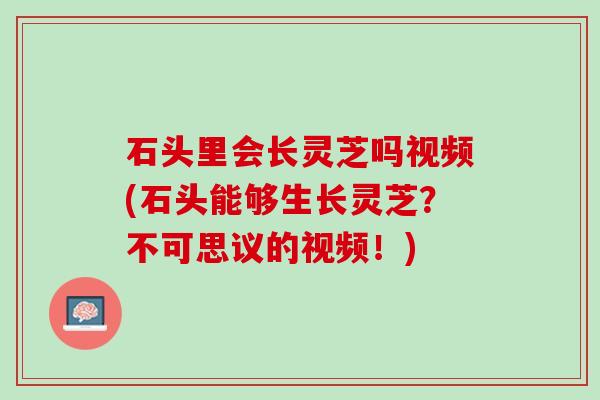 石头里会长灵芝吗视频(石头能够生长灵芝？不可思议的视频！)