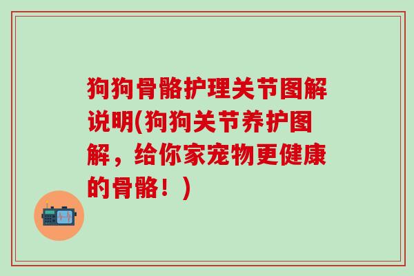狗狗骨骼护理关节图解说明(狗狗关节养护图解，给你家宠物更健康的骨骼！)