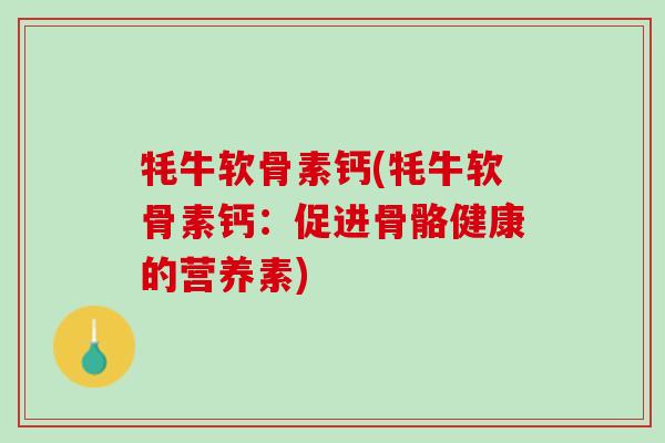 牦牛软骨素钙(牦牛软骨素钙：促进骨骼健康的营养素)