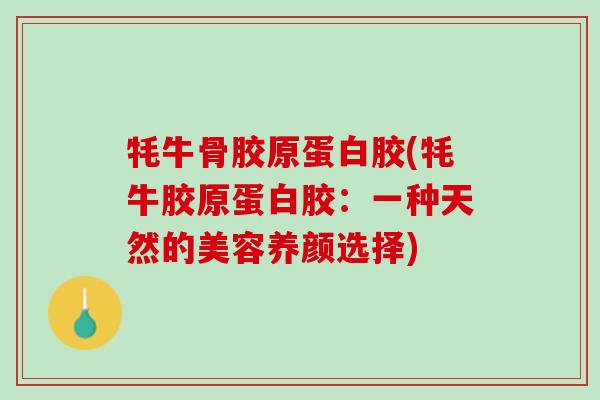 牦牛骨胶原蛋白胶(牦牛胶原蛋白胶：一种天然的美容养颜选择)