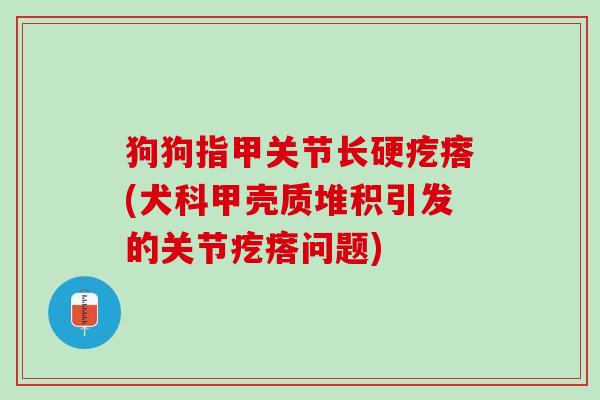 狗狗指甲关节长硬疙瘩(犬科甲壳质堆积引发的关节疙瘩问题)