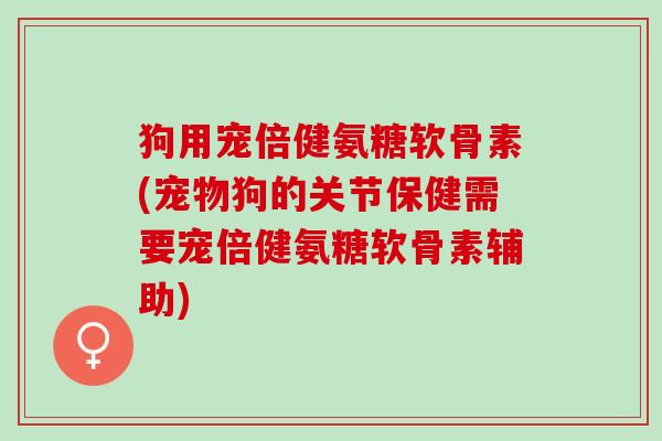 狗用宠倍健氨糖软骨素(宠物狗的关节保健需要宠倍健氨糖软骨素辅助)
