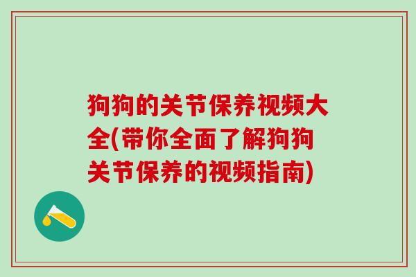 狗狗的关节保养视频大全(带你全面了解狗狗关节保养的视频指南)