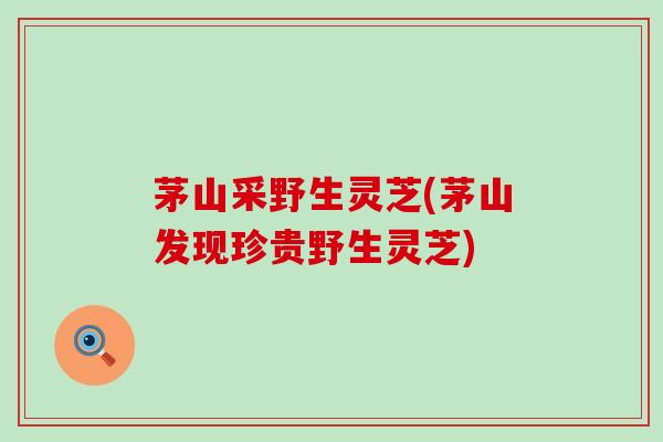 茅山采野生灵芝(茅山发现珍贵野生灵芝)