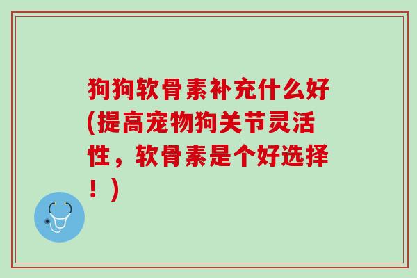 狗狗软骨素补充什么好(提高宠物狗关节灵活性，软骨素是个好选择！)
