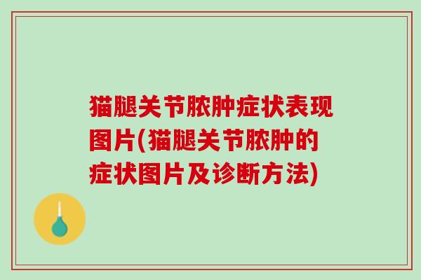 猫腿关节脓肿症状表现图片(猫腿关节脓肿的症状图片及诊断方法)