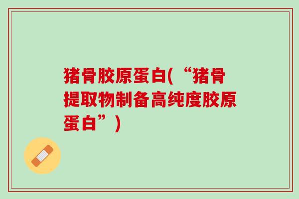 猪骨胶原蛋白(“猪骨提取物制备高纯度胶原蛋白”)