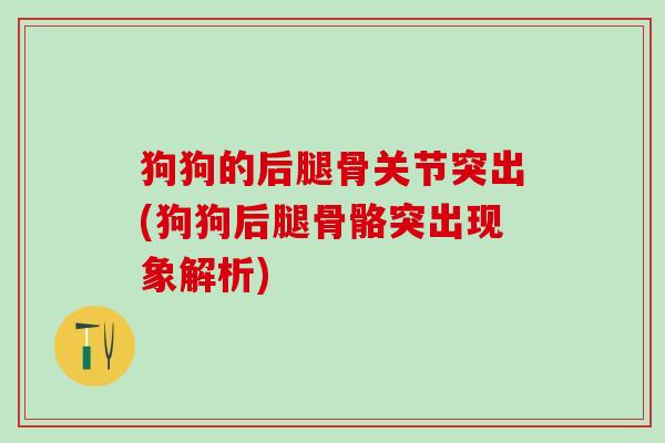 狗狗的后腿骨关节突出(狗狗后腿骨骼突出现象解析)