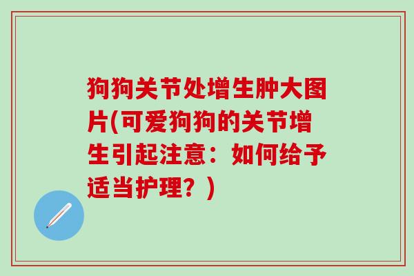 狗狗关节处增生肿大图片(可爱狗狗的关节增生引起注意：如何给予适当护理？)