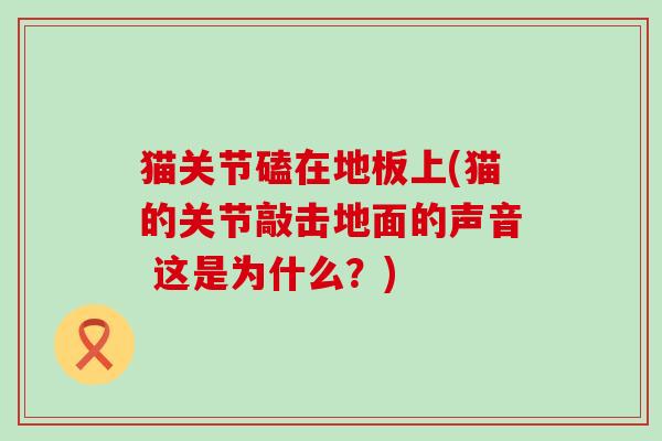 猫关节磕在地板上(猫的关节敲击地面的声音 这是为什么？)