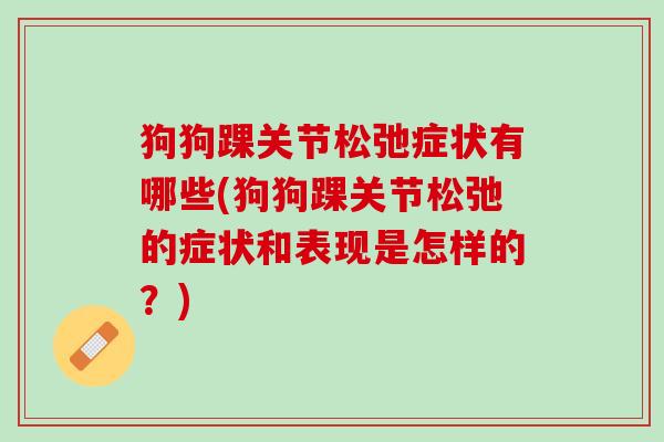 狗狗踝关节松弛症状有哪些(狗狗踝关节松弛的症状和表现是怎样的？)