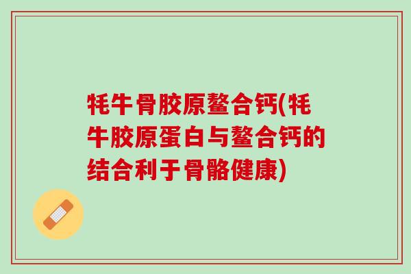 牦牛骨胶原鳌合钙(牦牛胶原蛋白与鳌合钙的结合利于骨骼健康)