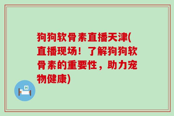 狗狗软骨素直播天津(直播现场！了解狗狗软骨素的重要性，助力宠物健康)