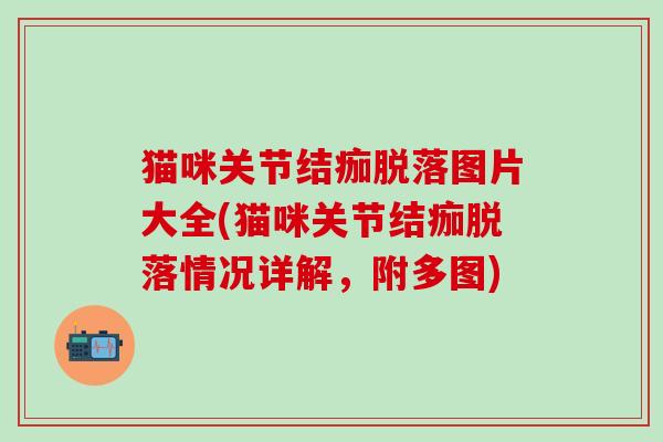 猫咪关节结痂脱落图片大全(猫咪关节结痂脱落情况详解，附多图)