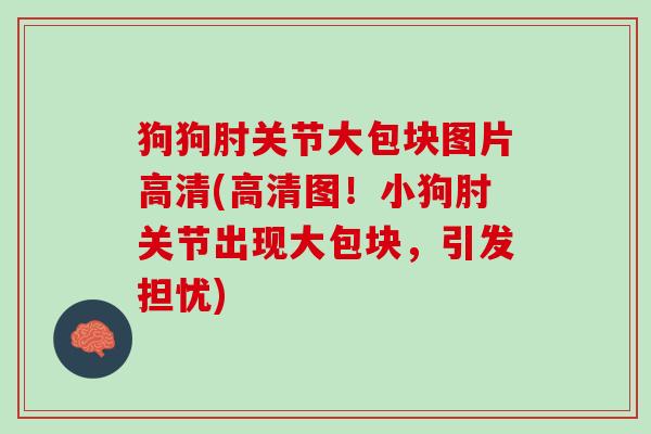 狗狗肘关节大包块图片高清(高清图！小狗肘关节出现大包块，引发担忧)