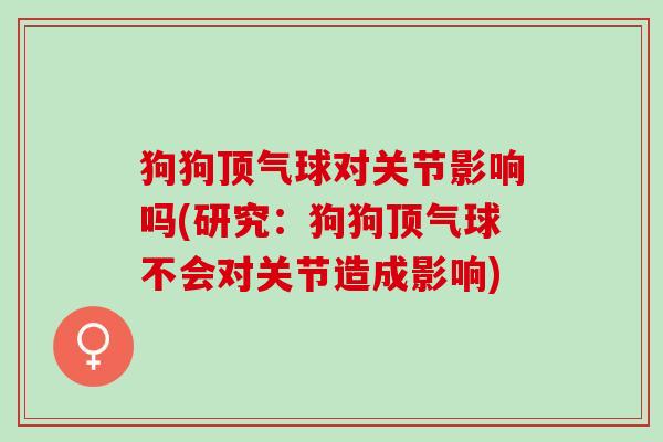 狗狗顶气球对关节影响吗(研究：狗狗顶气球不会对关节造成影响)