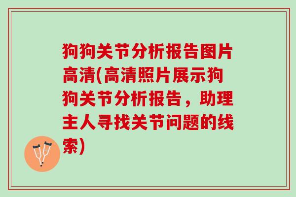 狗狗关节分析报告图片高清(高清照片展示狗狗关节分析报告，助理主人寻找关节问题的线索)