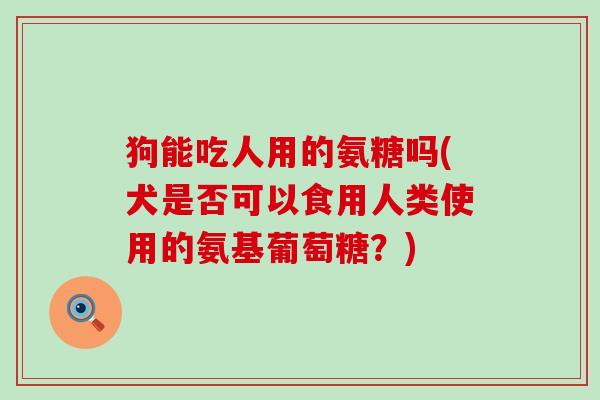狗能吃人用的氨糖吗(犬是否可以食用人类使用的氨基葡萄糖?) 狗能吃人用的氨糖吗(犬是否可以食用人类使用的氨基葡萄糖?)