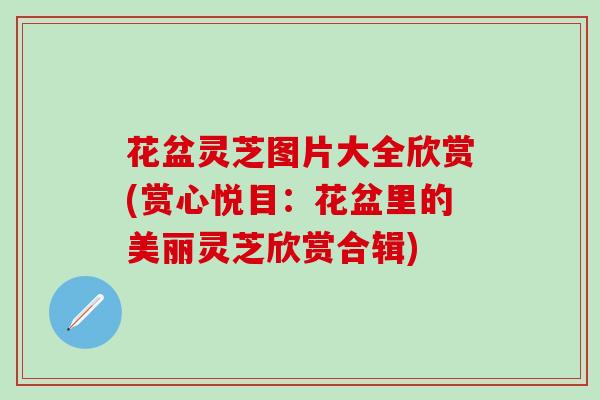 花盆灵芝图片大全欣赏(赏心悦目：花盆里的美丽灵芝欣赏合辑)