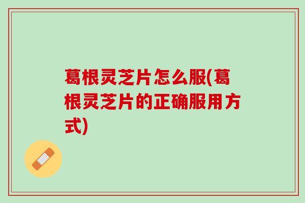 葛根灵芝片怎么服(葛根灵芝片的正确服用方式)