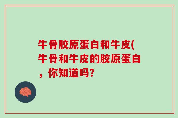 牛骨胶原蛋白和牛皮(牛骨和牛皮的胶原蛋白，你知道吗？